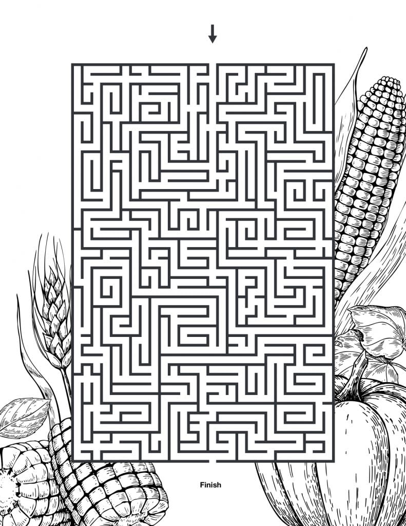 Printable Fall Maze The AARP Medicare Supplement Blog