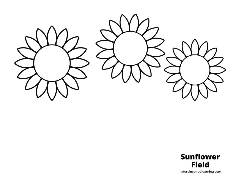 Sunflower Coloring Pages For Kids Nature Inspired Learning